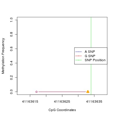 Allele Specific Methylation Frequency Diagram for chr12 41163634 SNP.