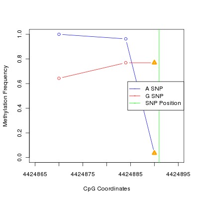 Allele Specific Methylation Frequency Diagram for chr12 4424891 SNP.