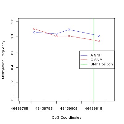 Allele Specific Methylation Frequency Diagram for chr12 46439815 SNP.