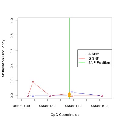 Allele Specific Methylation Frequency Diagram for chr12 46682167 SNP.