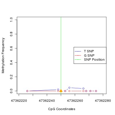 Allele Specific Methylation Frequency Diagram for chr12 47362250 SNP.