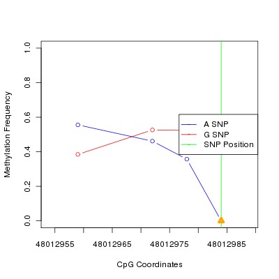 Allele Specific Methylation Frequency Diagram for chr12 48012984 SNP.