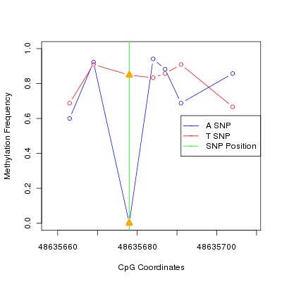 Allele Specific Methylation Frequency Diagram for chr12 48635678 SNP.