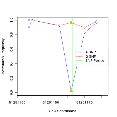 Allele Specific Methylation Frequency Diagram for chr12 51281163 SNP.