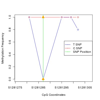 Allele Specific Methylation Frequency Diagram for chr12 51281287 SNP.