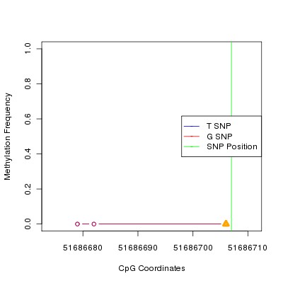 Allele Specific Methylation Frequency Diagram for chr12 51686707 SNP.