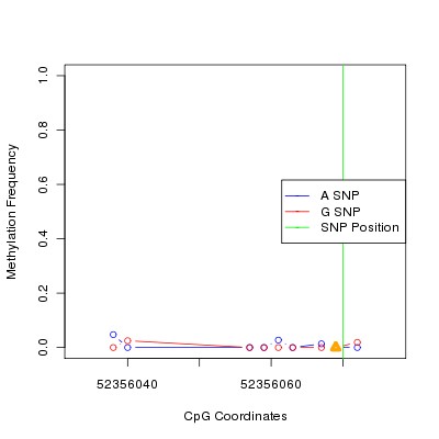 Allele Specific Methylation Frequency Diagram for chr12 52356070 SNP.