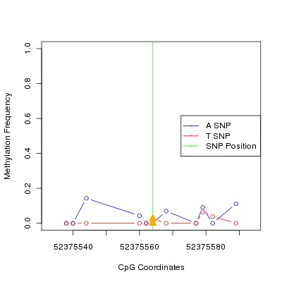 Allele Specific Methylation Frequency Diagram for chr12 52375564 SNP.