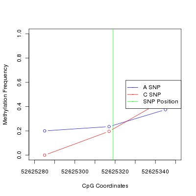 Allele Specific Methylation Frequency Diagram for chr12 52625319 SNP.