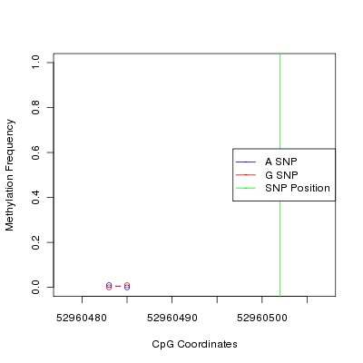 Allele Specific Methylation Frequency Diagram for chr12 52960502 SNP.