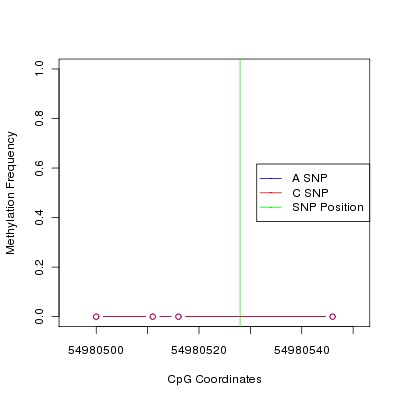 Allele Specific Methylation Frequency Diagram for chr12 54980528 SNP.