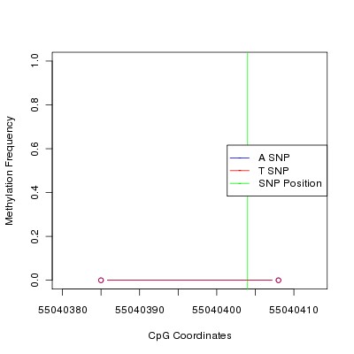 Allele Specific Methylation Frequency Diagram for chr12 55040404 SNP.