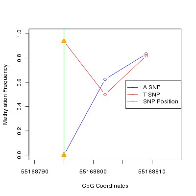 Allele Specific Methylation Frequency Diagram for chr12 55168795 SNP.