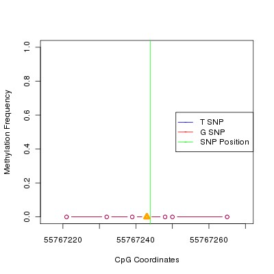 Allele Specific Methylation Frequency Diagram for chr12 55767244 SNP.