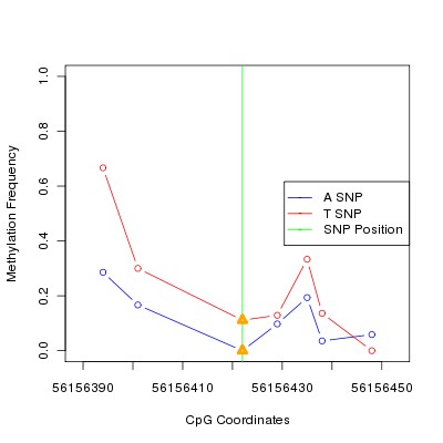 Allele Specific Methylation Frequency Diagram for chr12 56156422 SNP.