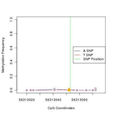 Allele Specific Methylation Frequency Diagram for chr12 56313053 SNP.