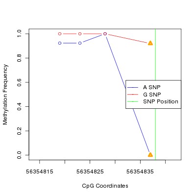 Allele Specific Methylation Frequency Diagram for chr12 56354838 SNP.