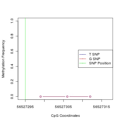 Allele Specific Methylation Frequency Diagram for chr12 56527295 SNP.