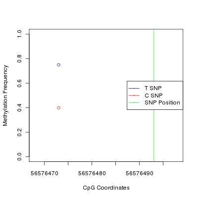 Allele Specific Methylation Frequency Diagram for chr12 56576493 SNP.