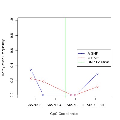 Allele Specific Methylation Frequency Diagram for chr12 56576545 SNP.