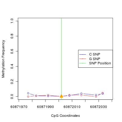 Allele Specific Methylation Frequency Diagram for chr12 60872002 SNP.