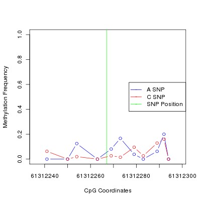 Allele Specific Methylation Frequency Diagram for chr12 61312267 SNP.