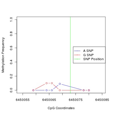 Allele Specific Methylation Frequency Diagram for chr12 6450073 SNP.