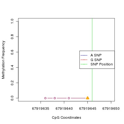 Allele Specific Methylation Frequency Diagram for chr12 67919646 SNP.