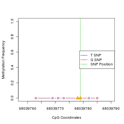 Allele Specific Methylation Frequency Diagram for chr12 68039779 SNP.