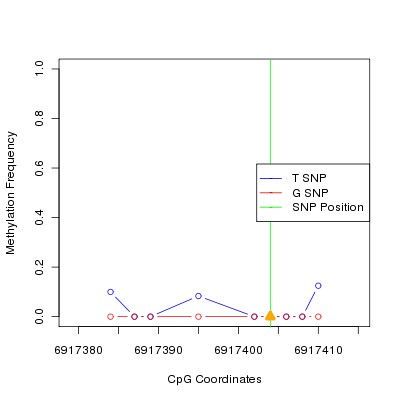 Allele Specific Methylation Frequency Diagram for chr12 6917404 SNP.