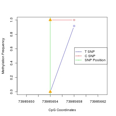 Allele Specific Methylation Frequency Diagram for chr12 73985654 SNP.
