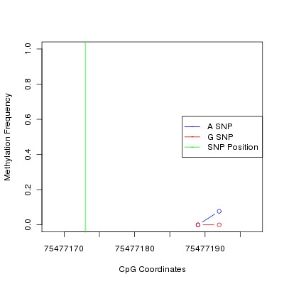 Allele Specific Methylation Frequency Diagram for chr12 75477173 SNP.