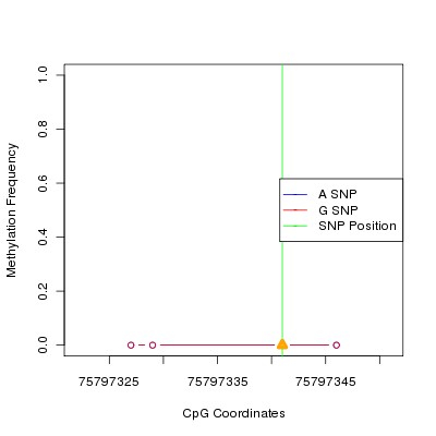 Allele Specific Methylation Frequency Diagram for chr12 75797341 SNP.