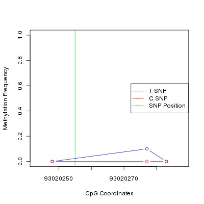 Allele Specific Methylation Frequency Diagram for chr12 93020255 SNP.