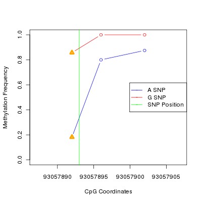 Allele Specific Methylation Frequency Diagram for chr12 93057893 SNP.