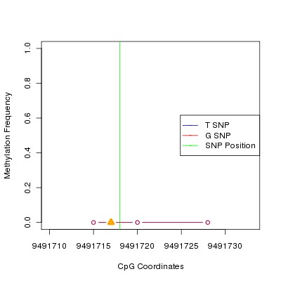 Allele Specific Methylation Frequency Diagram for chr12 9491718 SNP.