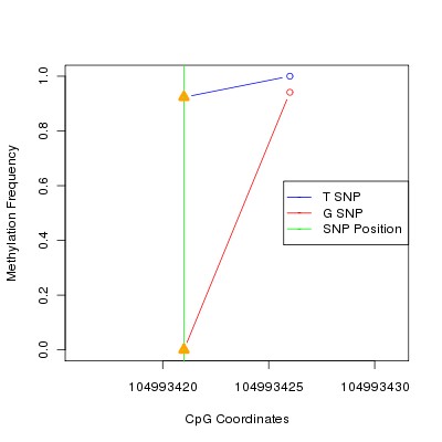 Allele Specific Methylation Frequency Diagram for chr14 104993421 SNP.