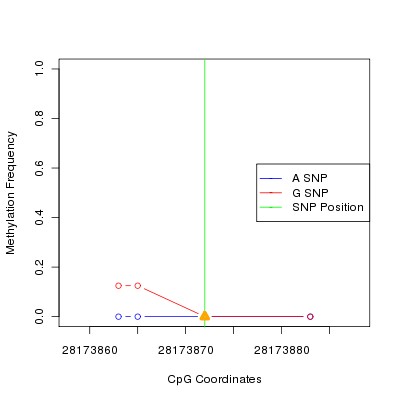 Allele Specific Methylation Frequency Diagram for chr17 28173872 SNP.