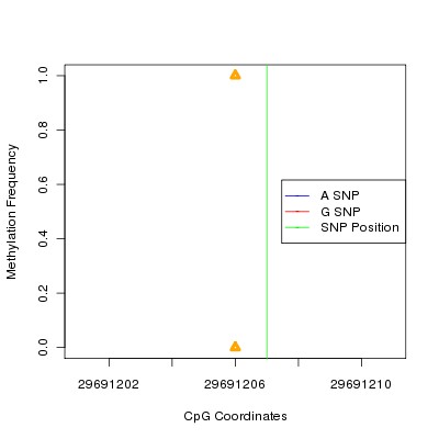 Allele Specific Methylation Frequency Diagram for chr17 29691207 SNP.