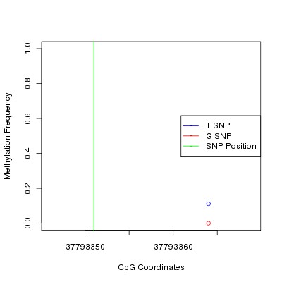 Allele Specific Methylation Frequency Diagram for chr17 37793351 SNP.