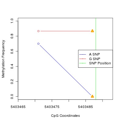 Allele Specific Methylation Frequency Diagram for chr19 5403488 SNP.