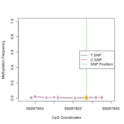 Allele Specific Methylation Frequency Diagram for chr19 59297827 SNP.