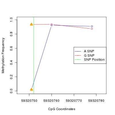 Allele Specific Methylation Frequency Diagram for chr19 59320752 SNP.