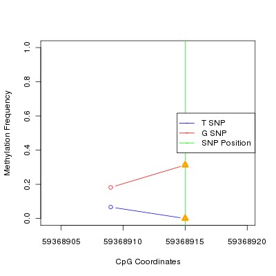 Allele Specific Methylation Frequency Diagram for chr19 59368915 SNP.