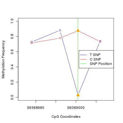 Allele Specific Methylation Frequency Diagram for chr19 59369001 SNP.