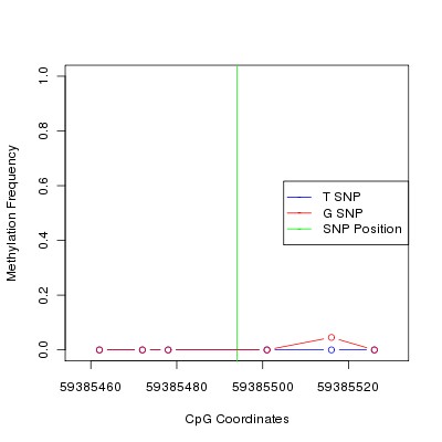 Allele Specific Methylation Frequency Diagram for chr19 59385494 SNP.