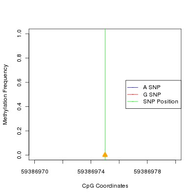 Allele Specific Methylation Frequency Diagram for chr19 59386975 SNP.