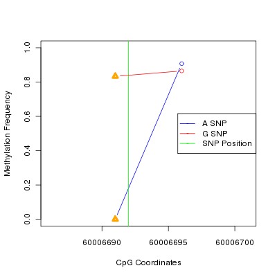 Allele Specific Methylation Frequency Diagram for chr19 60006692 SNP.