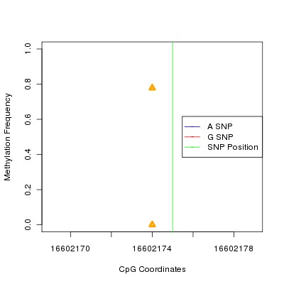 Allele Specific Methylation Frequency Diagram for chr1 16602175 SNP.