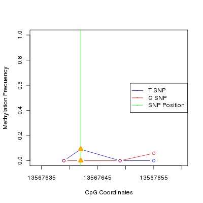 Allele Specific Methylation Frequency Diagram for chr20 13567642 SNP.